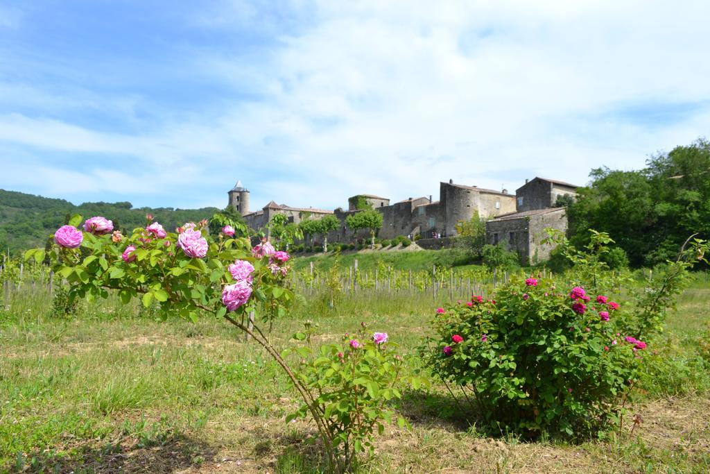 Chambres D'Hotes Domaine Du Hameau Baylesse Saint-Jean-d'Aigues-Vives ภายนอก รูปภาพ