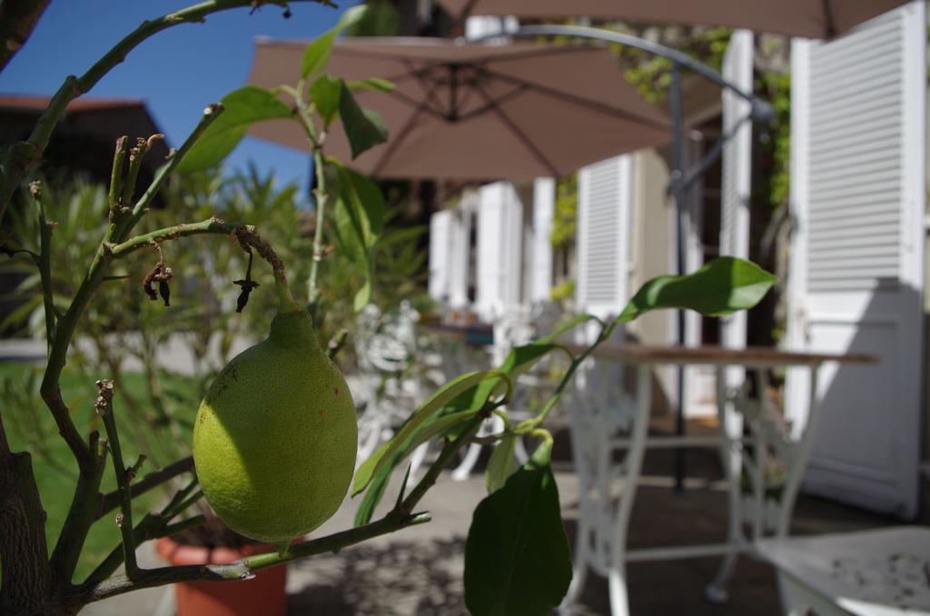 Chambres D'Hotes Domaine Du Hameau Baylesse Saint-Jean-d'Aigues-Vives ภายนอก รูปภาพ