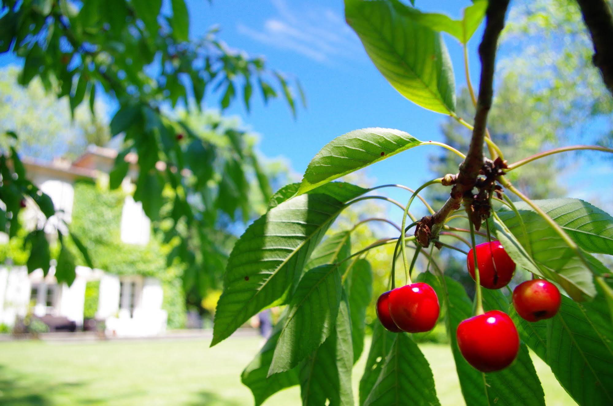 Chambres D'Hotes Domaine Du Hameau Baylesse Saint-Jean-d'Aigues-Vives ภายนอก รูปภาพ